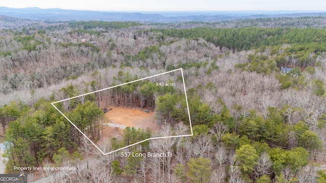 557 Long Branch Trl, Ranger GA, 30734 land for sale