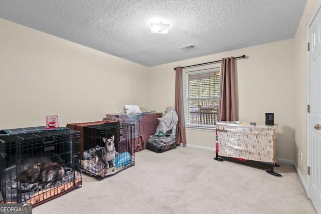 misc room with a textured ceiling and carpet