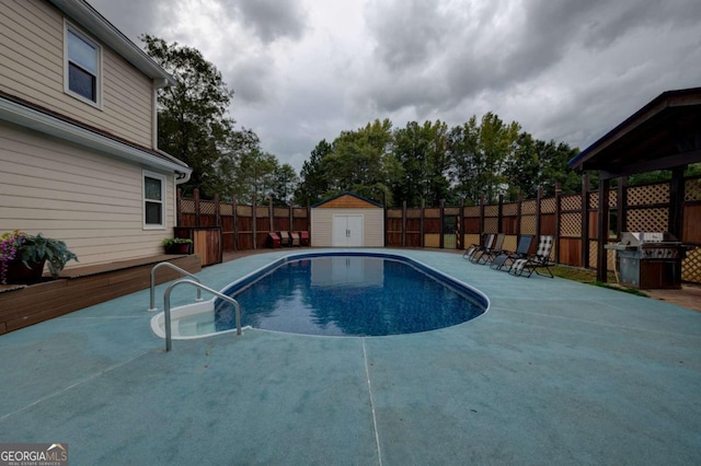 view of swimming pool with a grill and a storage unit