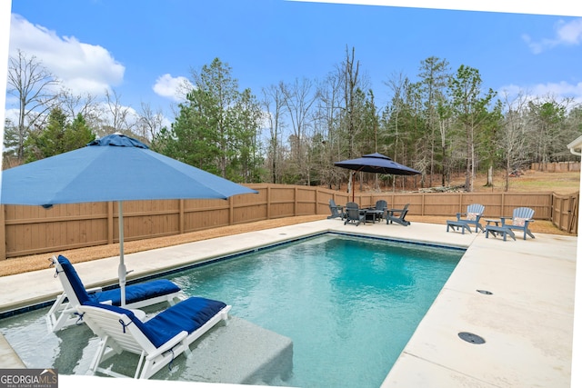 view of swimming pool with a patio area