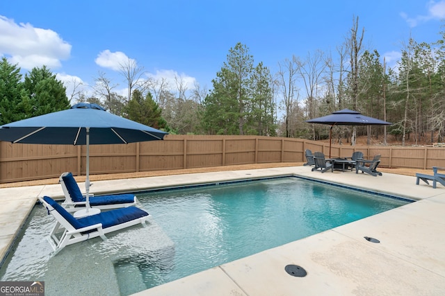 view of swimming pool with a patio area