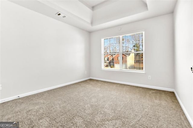 spare room featuring carpet flooring and a raised ceiling