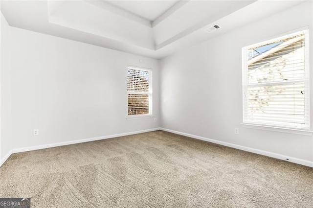 spare room with carpet flooring and a raised ceiling