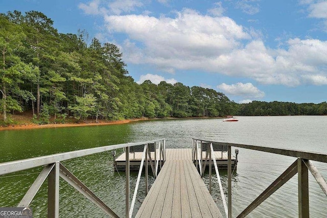 dock area featuring a water view