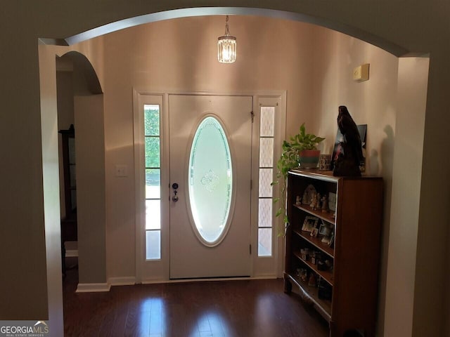 entrance foyer with dark hardwood / wood-style flooring and a healthy amount of sunlight