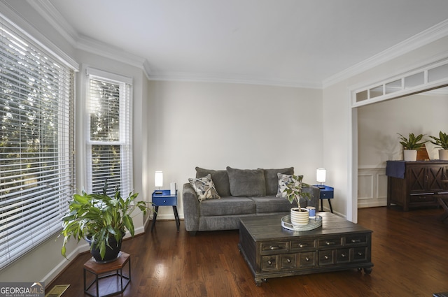 living room featuring crown molding, a wealth of natural light, and dark hardwood / wood-style flooring