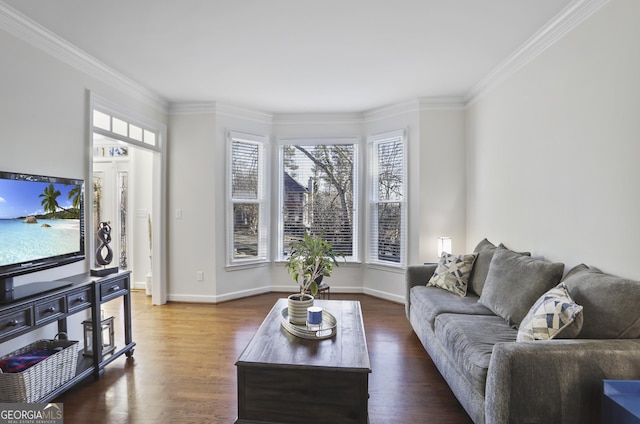 living room featuring ornamental molding and dark hardwood / wood-style flooring