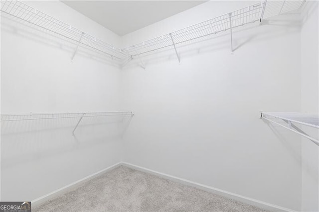 walk in closet featuring light carpet