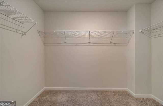 walk in closet with light colored carpet