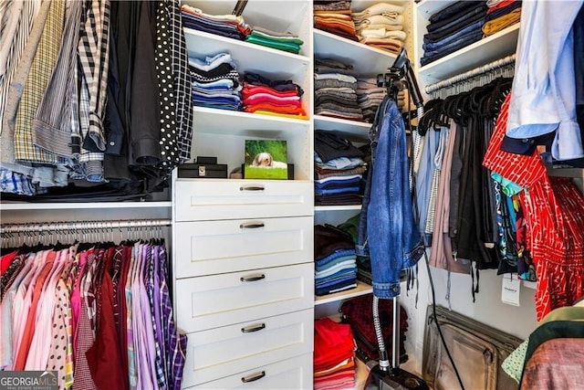 view of spacious closet