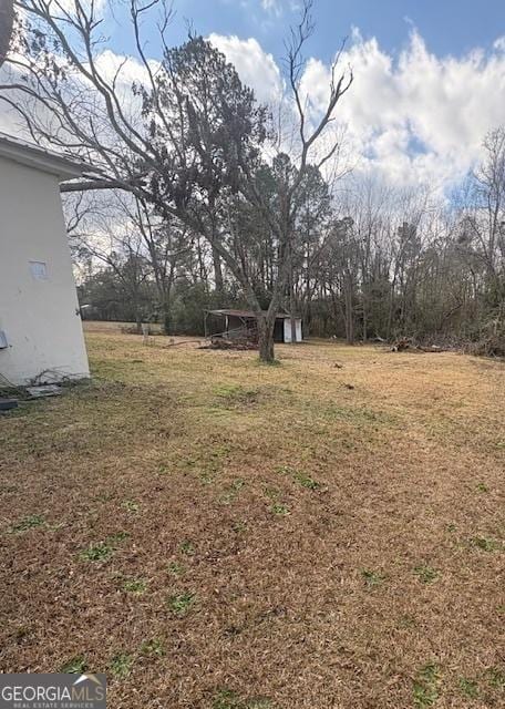 view of yard featuring a storage unit