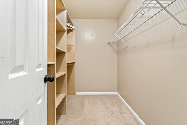 spacious closet with carpet