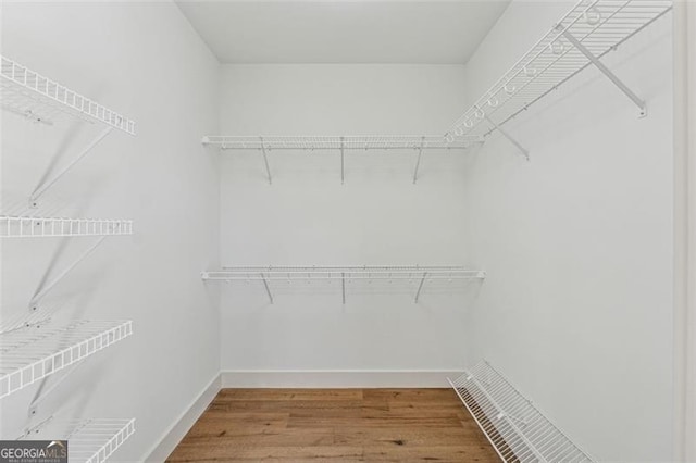 spacious closet featuring wood-type flooring