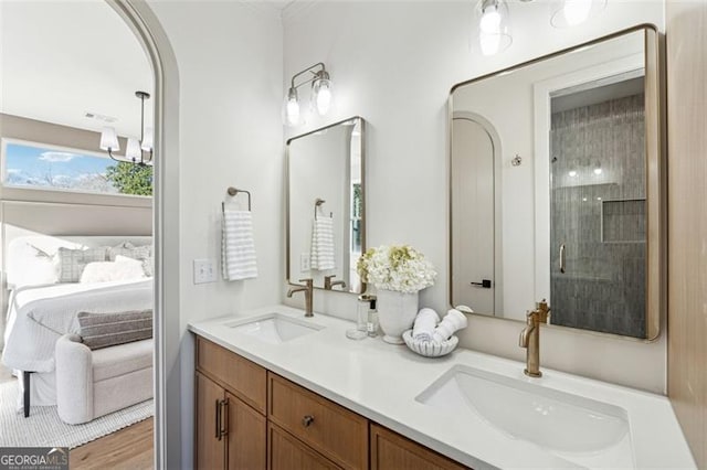 bathroom featuring walk in shower and vanity