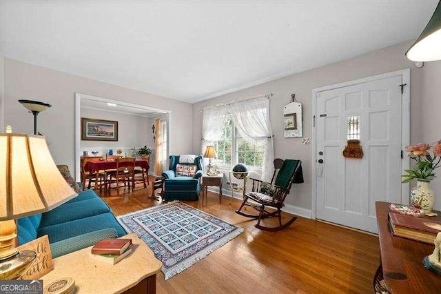 living room featuring wood-type flooring