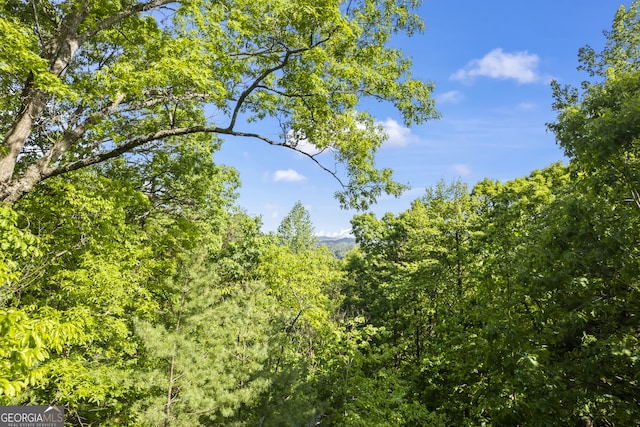 view of landscape