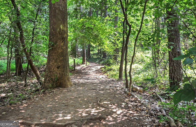 view of local wilderness