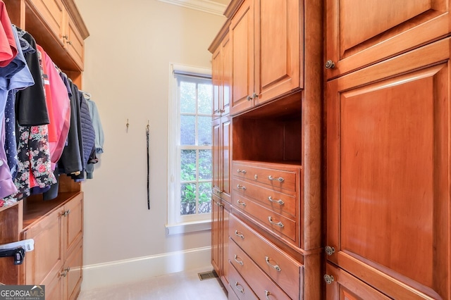 view of walk in closet