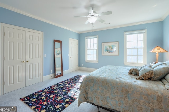 carpeted bedroom with ceiling fan, ornamental molding, and multiple windows