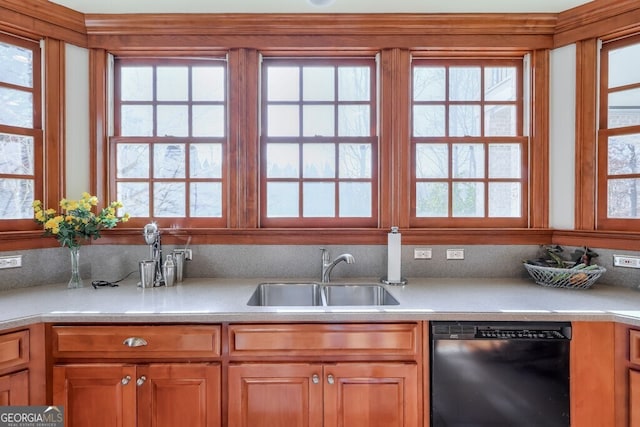 kitchen with sink, black dishwasher, and a healthy amount of sunlight