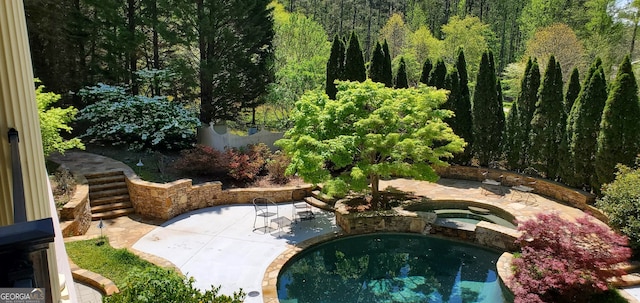 view of pool featuring an in ground hot tub and a patio