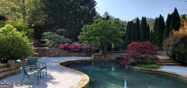 view of swimming pool featuring a patio area