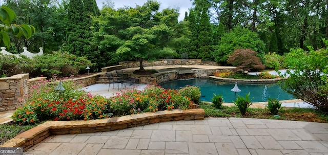 view of pool with a patio