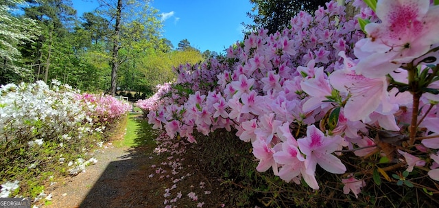 view of nature