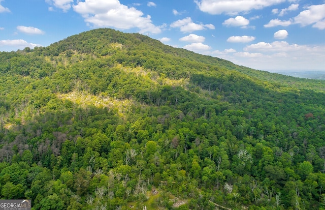 view of mountain feature