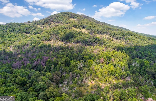 view of mountain feature