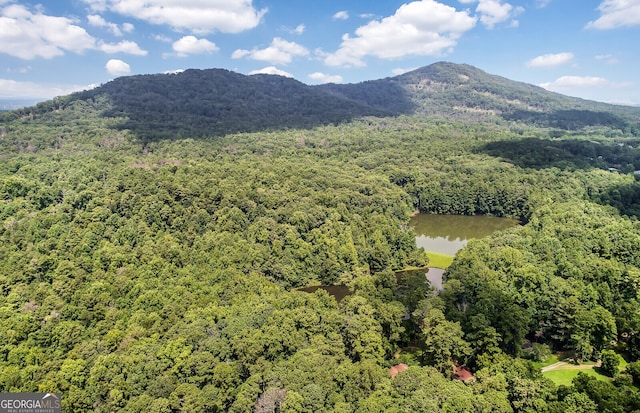 mountain view featuring a water view