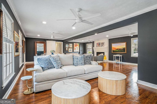 living room featuring a large fireplace, ornamental molding, dark hardwood / wood-style floors, and ceiling fan