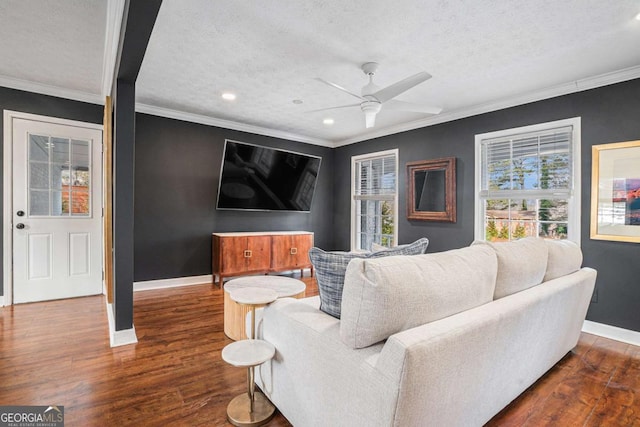 living room featuring ceiling fan, ornamental molding, dark wood-type flooring, and a textured ceiling