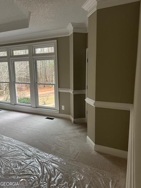 unfurnished room featuring crown molding, carpet, and a textured ceiling