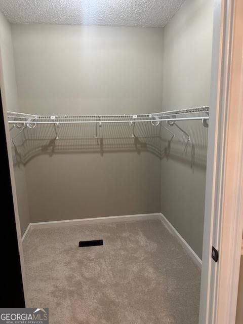 walk in closet featuring carpet