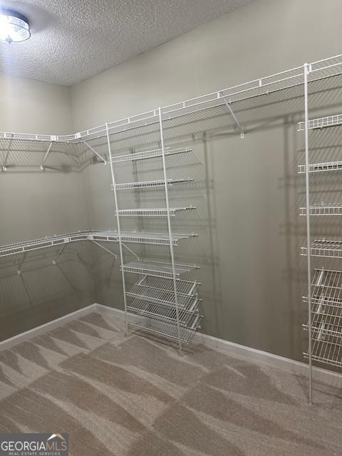 spacious closet featuring carpet flooring