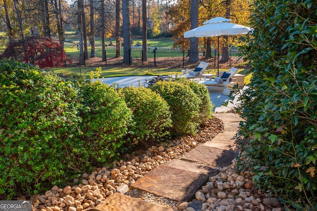 view of yard featuring a patio