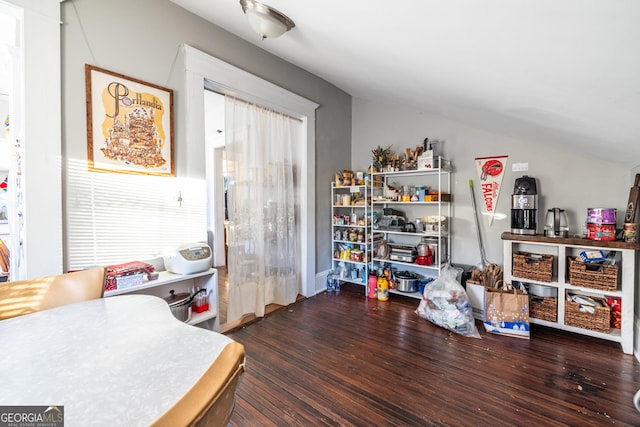 interior space featuring dark wood-type flooring and vaulted ceiling