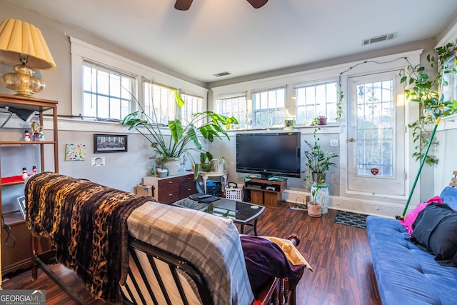 living room with ceiling fan and hardwood / wood-style floors