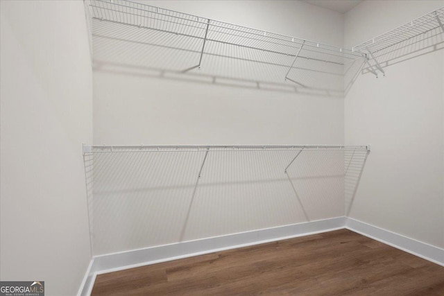 spacious closet with hardwood / wood-style flooring