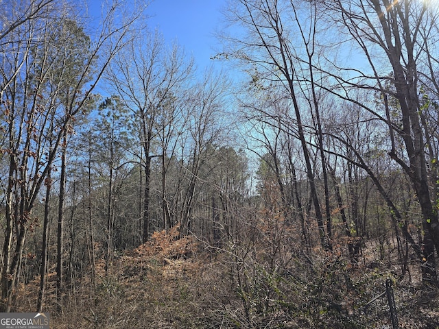 view of local wilderness