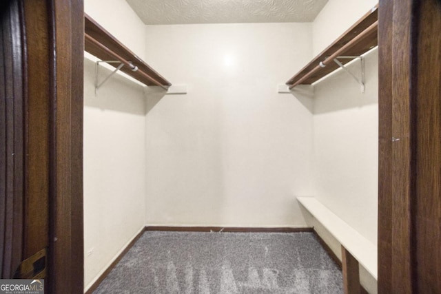 walk in closet with dark colored carpet