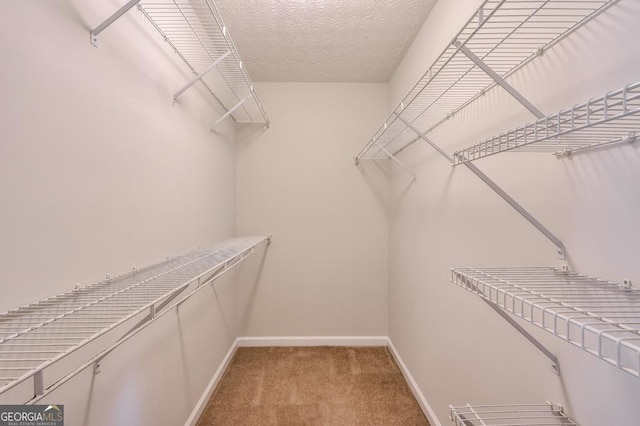 spacious closet featuring light colored carpet