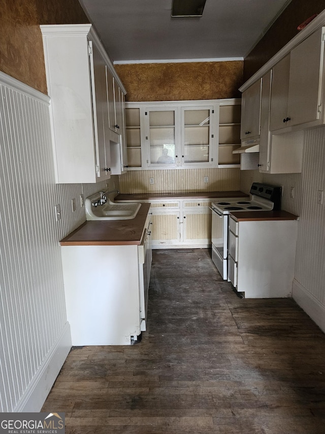 kitchen with sink, dark hardwood / wood-style floors, electric range oven, and white cabinetry