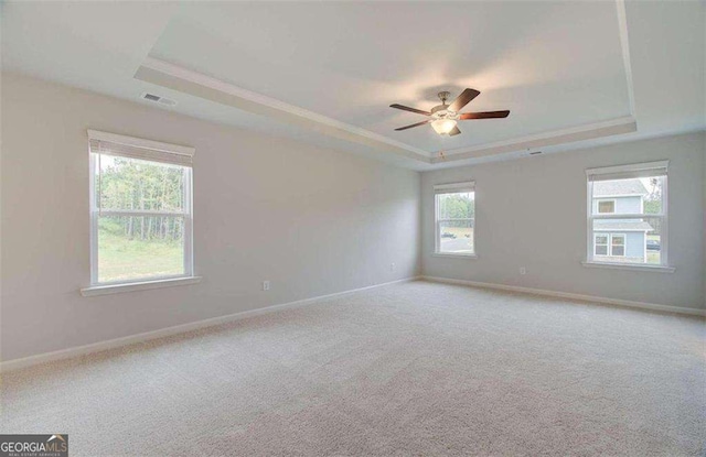 carpeted spare room with plenty of natural light and a tray ceiling