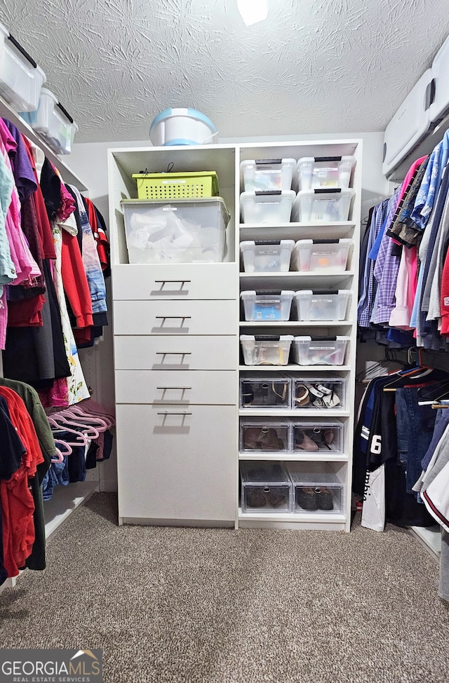 spacious closet featuring carpet floors