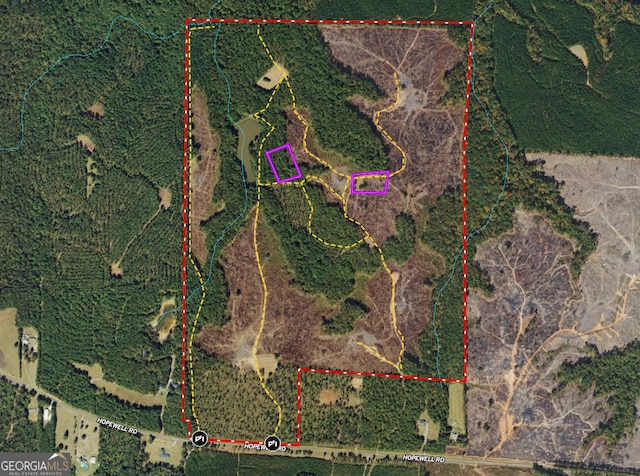 293AC Hopewell Rd, Forsyth GA, 31029 land for sale