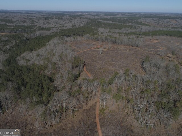 293AC Hopewell Rd, Forsyth, GA 31029