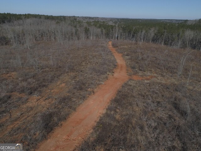 293AC Hopewell Rd, Forsyth, GA 31029