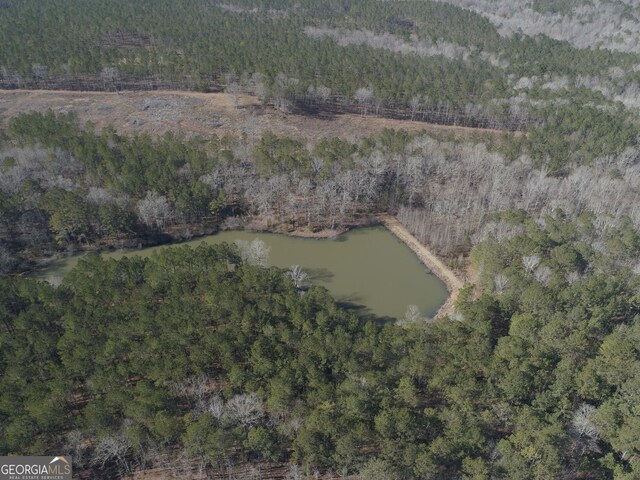 293AC Hopewell Rd, Forsyth, GA 31029